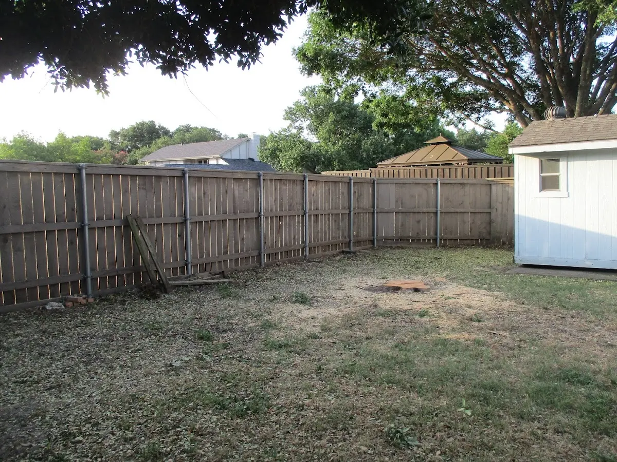 Cleared yard after professional tree removal in Southwest